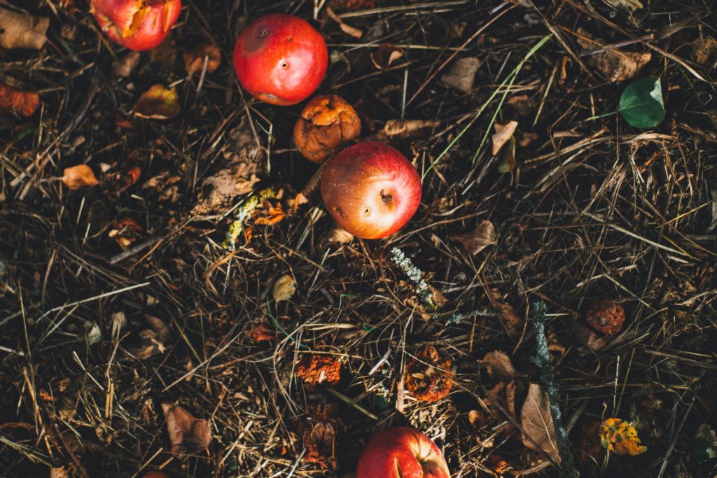 Food Compost Drop Off Near Me CompostAVL Curbside Compost Pickup